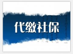 代辦社會(huì)保險(xiǎn)網(wǎng)上申報(bào)、繳費(fèi)等業(yè)務(wù)