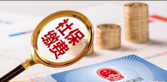 代辦社會(huì)保險(xiǎn)及住房公積金業(yè)務(wù)